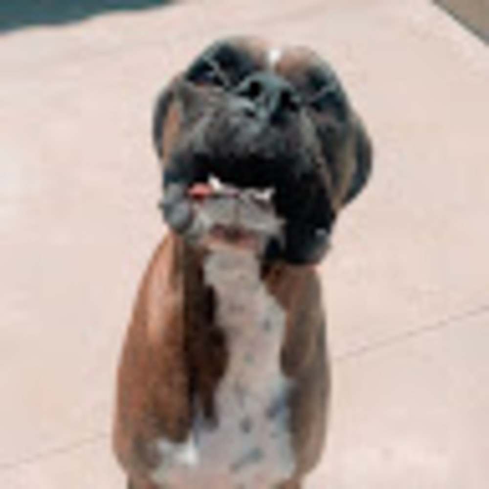 Meet your Posher, Alyvia